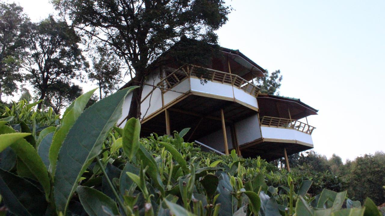 Vythiri Hills Hotel Екстериор снимка
